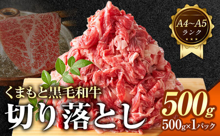 くまもと黒毛和牛 切り落とし 500g 黒毛和牛 MEAT PLUS