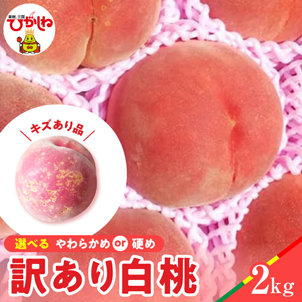 【ふるさと納税】【 2026年産 先行予約 】 白桃 品種おまかせ 訳あり 2kg (硬め/やわらかめ) / 桃 もも モモ ピーチ フルーツ 果物 くだもの 訳アリ 傷 規格外 不揃い 期間限定 大容量 冷蔵配送 先行予約 取り寄せ グルメ ご当地 特産 産地 直送 送料無料 東北 山形県 東根市