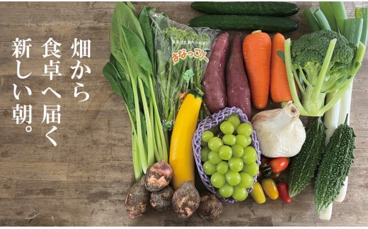 B121 山野りんりんオリジナルボックスで送る旬の野菜とフルーツ定期便（年3回）