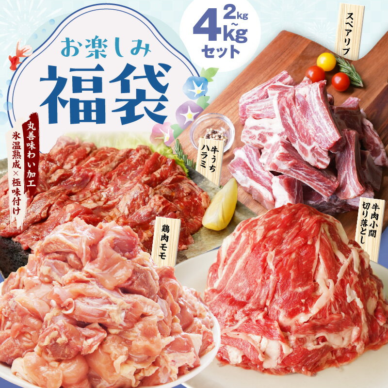 【ふるさと納税】お楽しみ福袋 4種 2kg / 4kg 切り落とし 牛ハラミ スペアリブ 鶏肉 小間切り落とし 希少部位 牛うち ハラミ 骨付き 厚切り 国産豚 鶏もも肉 氷温熟成牛 牛肉 氷温熟成豚 豚肉 熟成肉 氷温熟成 作り方 ふるさと納税オリジナル 限定 送料無料 肉の泉佐野