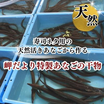 ふるさと納税 南知多町 【知多半島産】天然あなご干物〈無添加・職人仕込み/5袋セット〉穴子 |  | 01