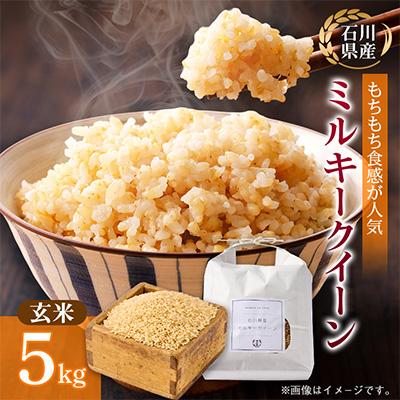 ふるさと納税 野々市市 【冷めても美味しいもちもち食感】石川県野々市市産ミルキークイーン令和7年産玄米5kg