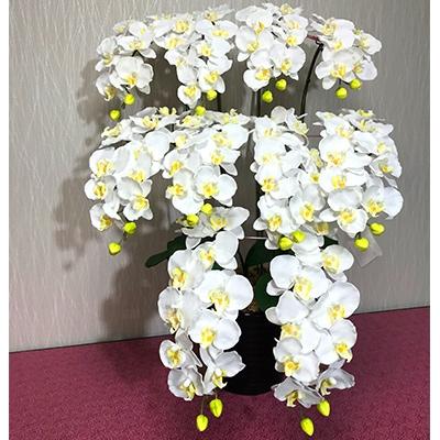 ふるさと納税 大垣市 光触媒造花胡蝶蘭　10本立(ホワイトイエロー)