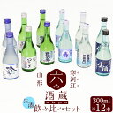 【ふるさと納税】 寒河江 山形 の地酒 生酒飲み比べセット 12本 計3,600ml （ 冷蔵 利き酒 お取り寄せ ご当地 日本酒 300ml 家飲み 宅飲み おうち時間 米どころ 飲み比べ 詰め合わせ 詰合せ ご当地 蔵元 冷酒 夏 秋 肴 飲みきりサイズ 冷 飲み歩き コレクション ）