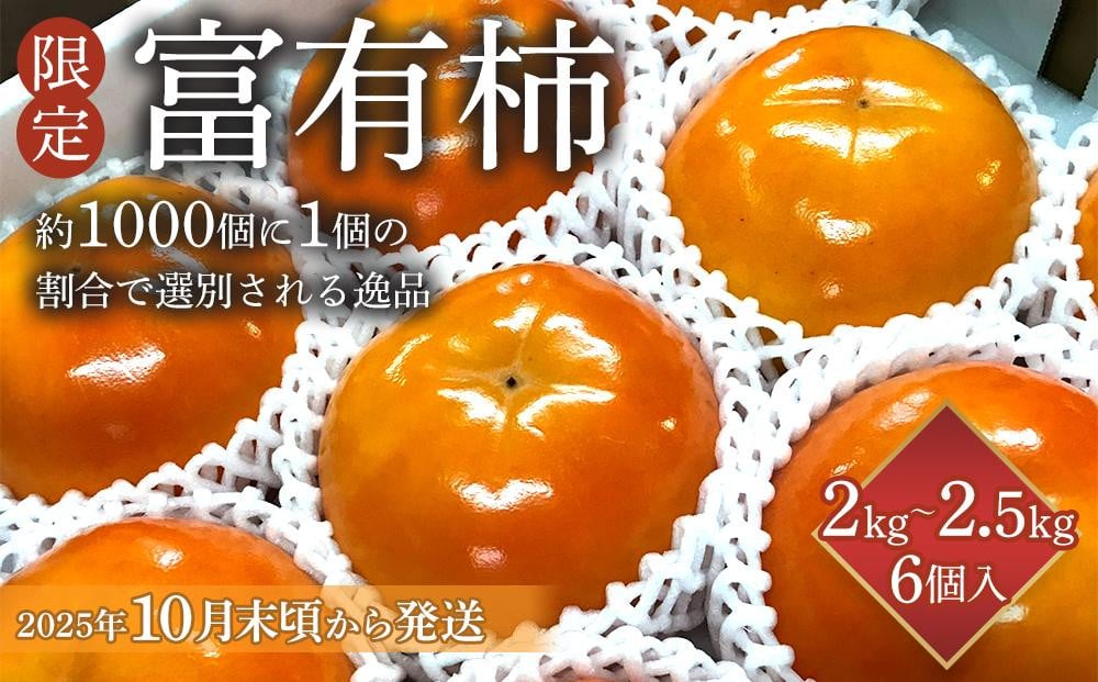 
            【限定】 富有柿 約2kg～2.5kg 6個入 至高の逸品 約1000個に１個！【先行予約】【2025年10月末頃から11月末頃順次発送】【KG5】
          