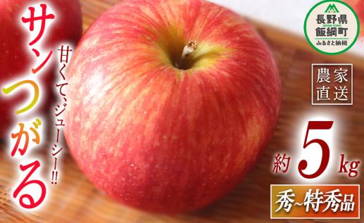 りんご サンつがる 秀～特秀5kg マルハ農園 沖縄県への配送不可 2026年9月上旬頃から2026年9月中旬頃まで順次発送予定 令和8年度収穫分 エコファーマー認定 信州 果物 フルーツ リンゴ 林檎 長野 予約 農家直送 長野県 飯綱町 [1622]