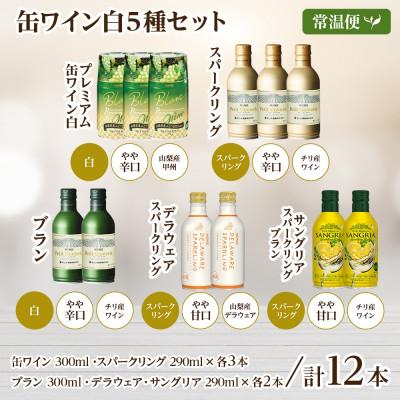 ふるさと納税 笛吹市 缶ワイン 白 5種 飲み比べ セット 12本入 モンデ酒造 山梨県 笛吹市 |  | 03