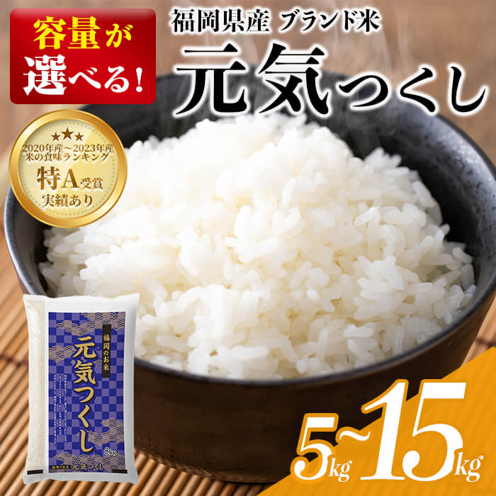 【ふるさと納税】＜数量限定・選べる！内容量＞ 元気つくし 精白米 (5kg〜15kg) お米 米 精白米 おこめ ごはん ご飯 ライス 弁当 おにぎり 国産 福岡県産 ブランド米 5kg 10kg 15kg 数量限定 常温 ＜北海道・沖縄・離島配送不可＞【ksg1780・ksg1781・ksg1782】