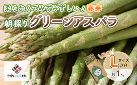 【数量限定】【先行予約】2026年 柔らかくて瑞々しい朝取りグリーンアスパラ(春芽) L 1kg（2026年4月から順次発送）AF129 ｜アスパラ