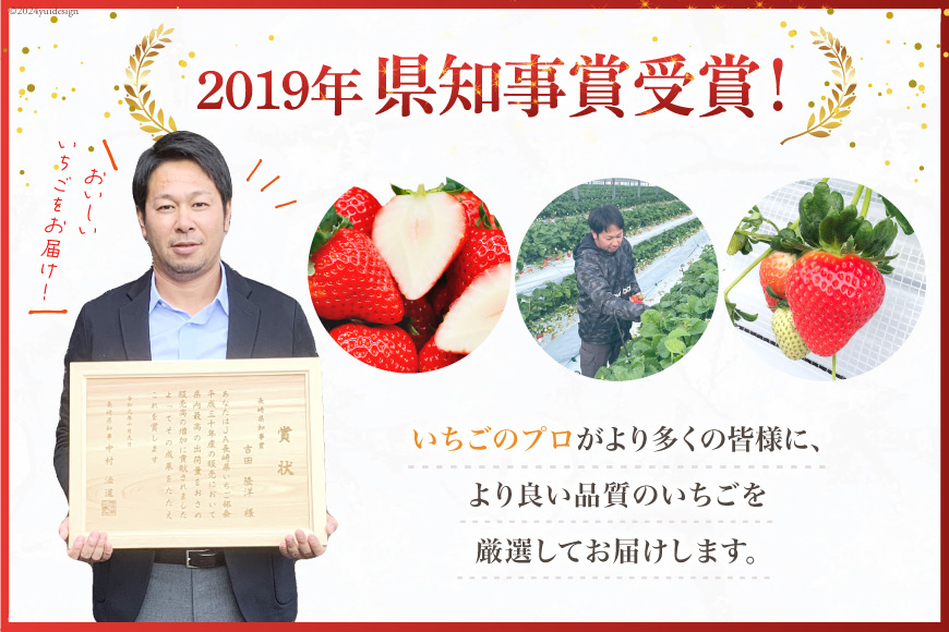 【期間限定発送】 いちご 恋みのり 2kg 以上 8パック [キチ・フィールド 長崎県 雲仙市 item1852] イチゴ 苺 フルーツ 果物 期間限定 季節限定 先行予約