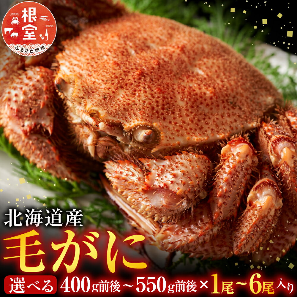 【ふるさと納税】 毛かに 400g 前後 ~ 550g 前後 × ( 1 尾 ~ 6 尾 ) 選べる 毛ガニ 蟹 カニ 毛蟹 けがに ケガニ かに お取り寄せ グルメ 海鮮 ボイル 茹で蟹 茹でがに 茹でガニ 北海道 根室市 ふるさと納税