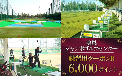 鴻巣ジャンボゴルフセンター　練習用クーポンB ／6000ポイント分 ICカード 300ヤード 88打席 オートティーアップ ショートコース ナイター アプローチ バンカー練習 パッティンググリーン 埼玉県 鴻巣市 No.146