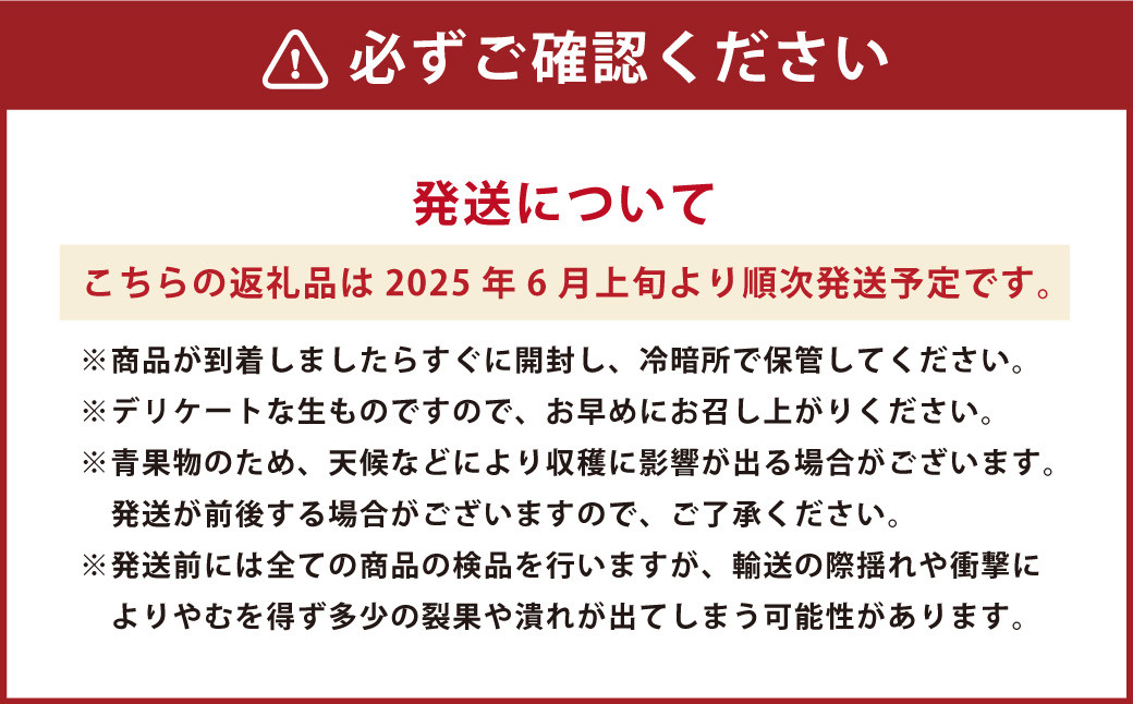 熊本県産 小玉すいか 2玉