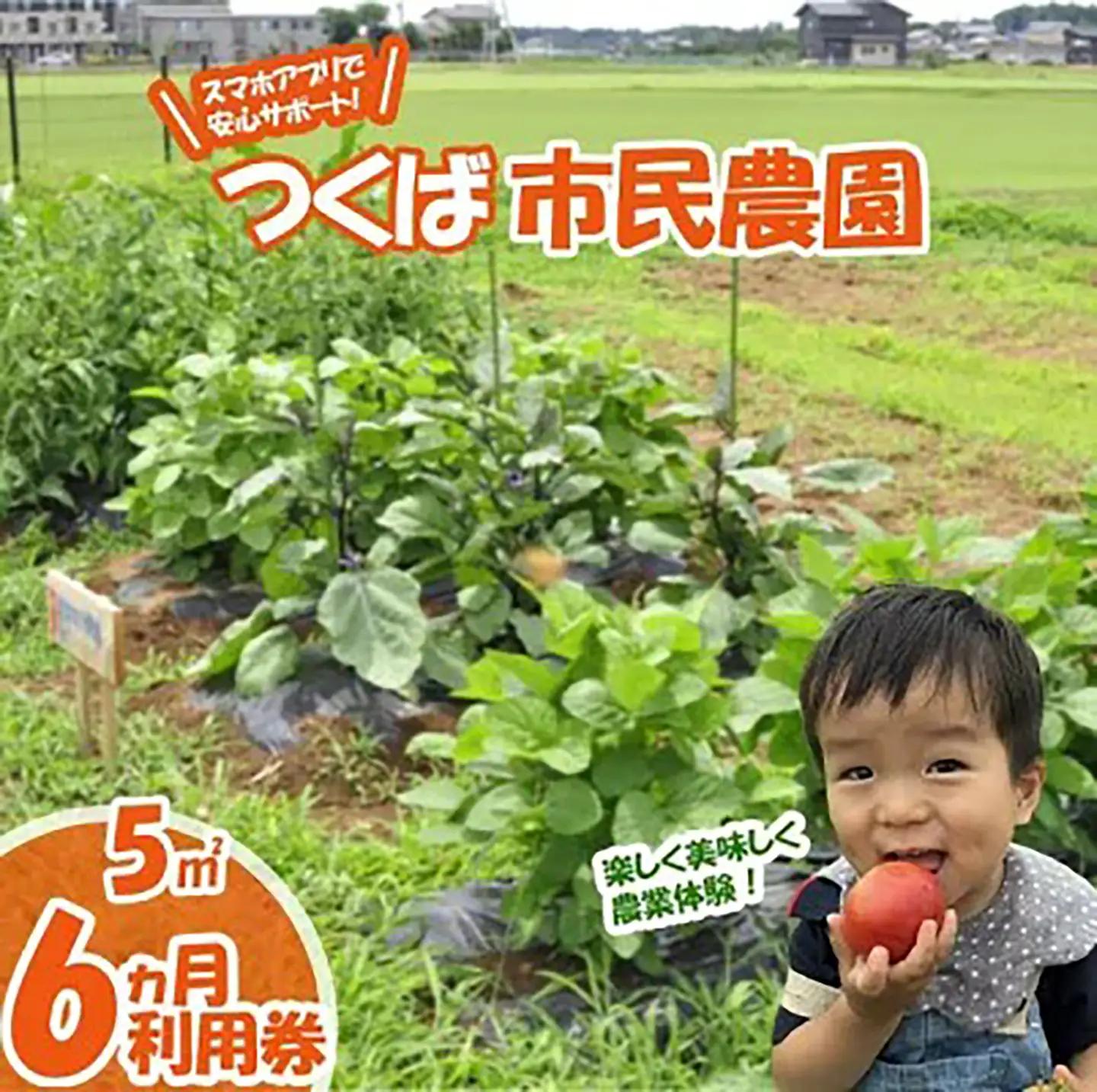 市民農園 ハルファーム 利用券 (5㎡ 6ヵ月分)【農園】