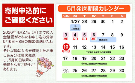 花 母の日 サンクスママ フラワーアレンジメント 1個 椿原園《2025年5月上旬-5月末頃出荷》椿原園 お花 花 ギフト 贈答 プレゼント インテリア 先行予約