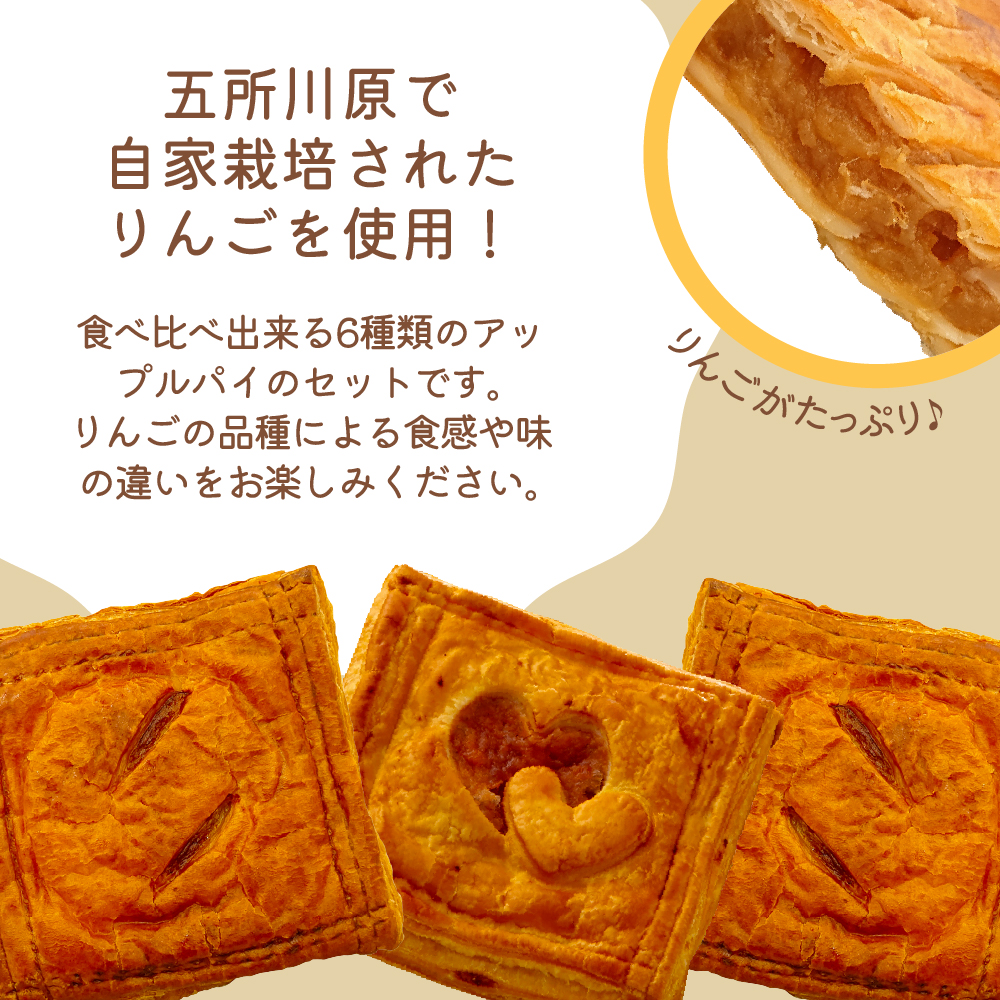 アップルパイ 青森 6個 セット 食べ比べ 6種詰合せ りんご あっぷるぱい リンゴ