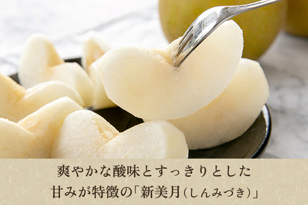 【2026年先行予約】「天果糖逸（てんかとういつ）」 新潟県産和梨 新美月 約5kg（9～12玉）《9月中旬～配送予定》 しんみづき 加茂市 えちご中越農業協同組合