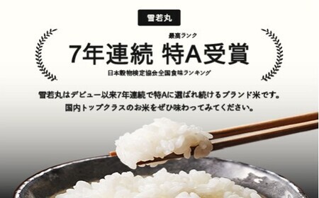 雪若丸 精米 10kg 4月上旬~4月中旬発送 配送時期選べる 令和7年産 2025年産 ※沖縄・離島への配送不可 tf-ywsxb10-4f