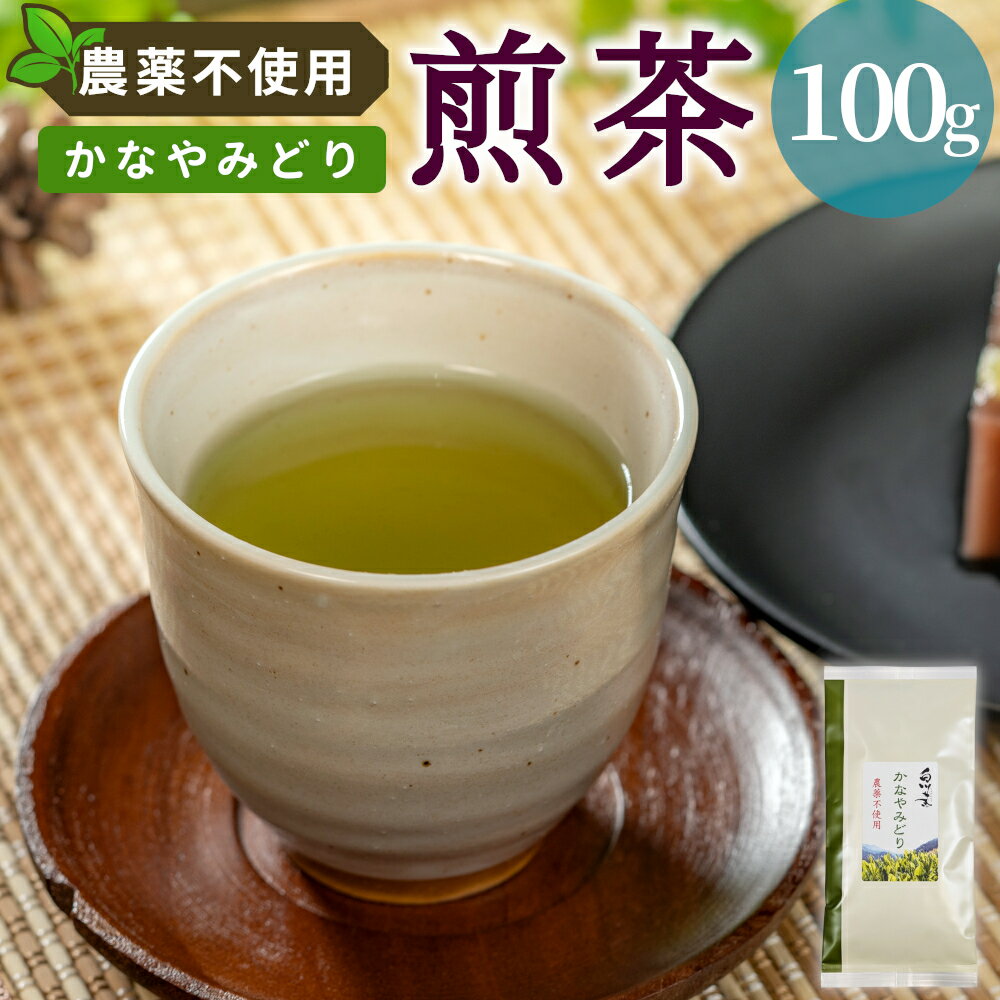 【ふるさと納税】農薬不使用！煎茶 かなやみどり 100g 常磐園 白川茶 美濃白川茶 日本茶 緑茶 煎茶 茶葉 お茶 一番茶 春摘み リーフ 国産 お試し 岐阜県 東白川村