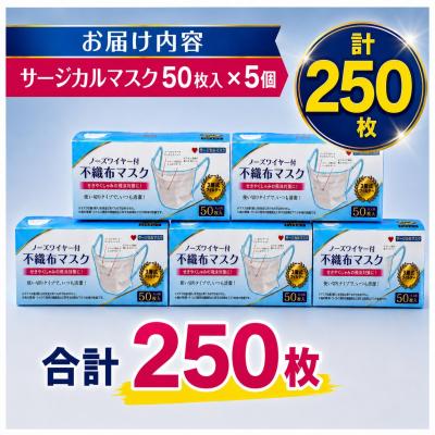 ふるさと納税 名古屋市 不織マスク50枚大人用(サージカルマスク)5個 |  | 01