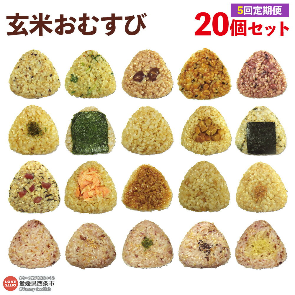 【ふるさと納税】＜玄米 おむすび 定期便 20個×5回 ＞- おにぎり 冷凍 鶏 チーズ 鮭 カレー 玄米おむすび玄むす屋 かんこめ 愛媛県 西条市 『入金確認後、翌月末までに第1回目を出荷』