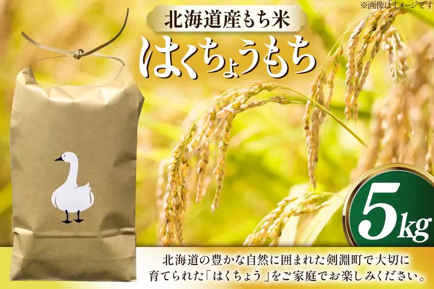 米 もち米 新米 令和8年産 北海道産 はくちょうもち 5kg