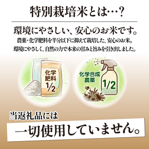 【特別栽培米】コシヒカリ　茨城県産　白米　約4.5kg【1663956】
