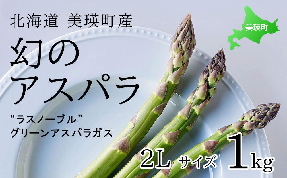 
                  【令和9年産先行予約】幻のアスパラ 2Lサイズ 1kg ラスノーブル 令和9年産 北海道 美瑛町 本山農場 グリーンアスパラ | グリーン アスパラガス アスパラ あすぱら あすぱらがす 採れたて ギフト 贈答 新鮮 旬 産地直送 野菜[017-81]
                