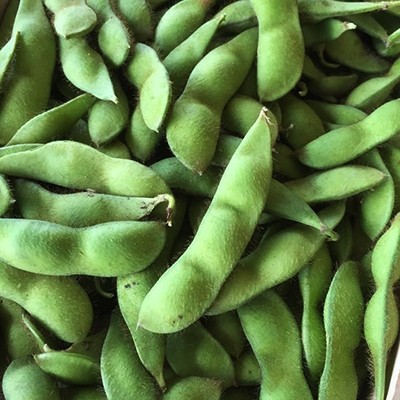 
                  筑前クロダマル(黒大豆)の枝付枝豆 約4kg【えだまめ エダマメ 枝豆 枝付き 採れたて 旬 野菜 産地直送 おつまみ 肴 人気 おすすめ 送料無料 福岡県 筑前町 AE043】
                