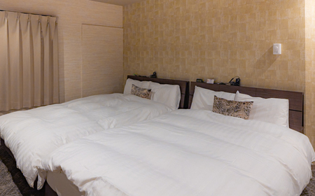 宿泊券 SAUNA HOTEL GIFU ツインルームご宿泊券(最大2名) [ANHP002] 宿泊券