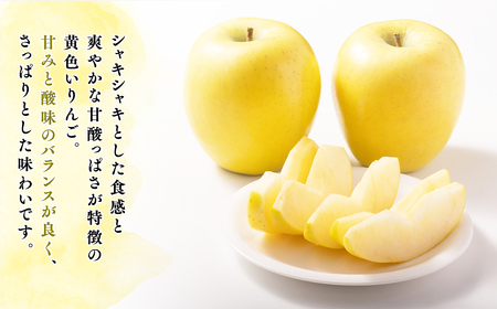 【令和7年産受付】贈答用シナノゴールド約5kg【青森県平川市産・青森りんご】