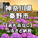 【ふるさと納税】神奈川県秦野市への寄付（返礼品はありません）