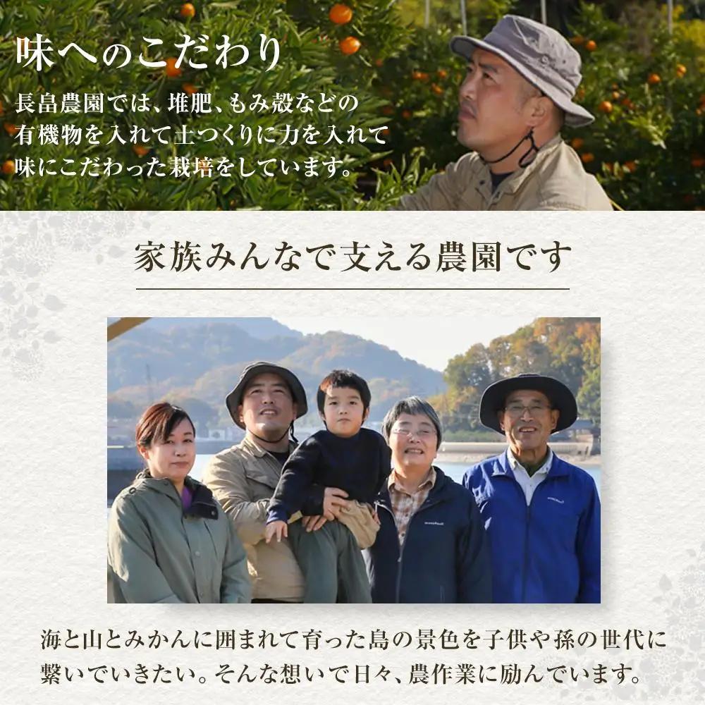 【先行予約】爽やかな甘さ はるか 4.5kg　＜2027年2月下旬より発送開始＞