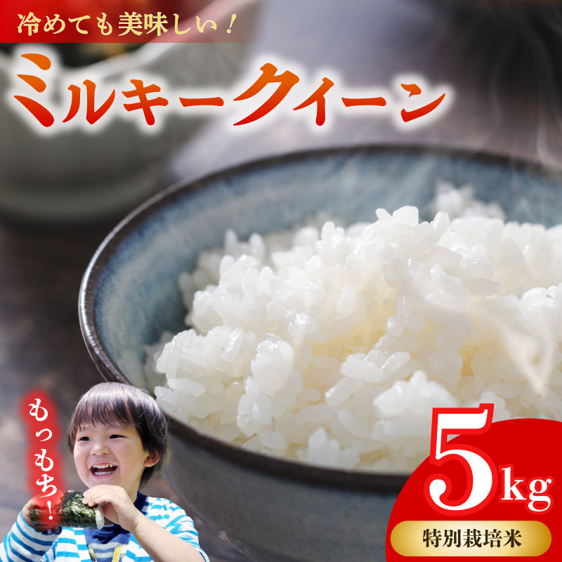 ミルキークイーン 5kg 【特別栽培米】お米 米 白米 みるきーくいーん 農家直送 産地直送 山本耕業 こめ香 静岡県 牧之原市 5kg
