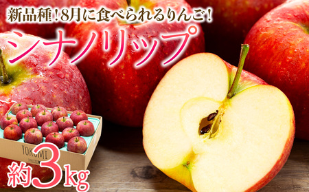  りんご シナノリップ 約3kg 2025年 令和7年度発送分 リンゴ 林檎 長野 フルーツ 果物 信州産 長野県産 特産 産地直送 おすすめ デザート おやつ 
