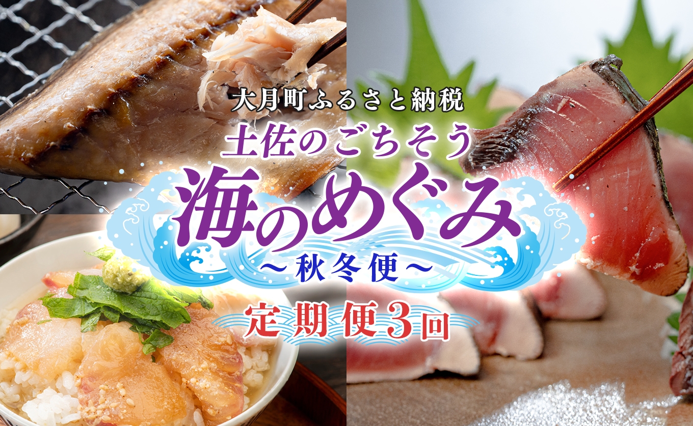 
                  【定期便 3回】土佐のごちそう 海のめぐみ 海鮮 秋冬便｜新鮮 藁焼き かつお カツオ タタキ 一夜干し 干物 真鯛 漬け丼 海鮮 魚介 海の幸 産地直送 旬 贈答用 おつまみ おかず ご褒美 送料無料 おすすめ 人気 秋 冬 ギフト
                