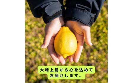 オーガニック瀬戸内レモン 1kg [12月〜6月出荷]  有機JAS ワックス不使用 防腐剤不使用 安心 安全 国産 瀬戸内レモン 大崎上島 有機レモン オーガニック食品 送料無料 産地直送 ふじやフ