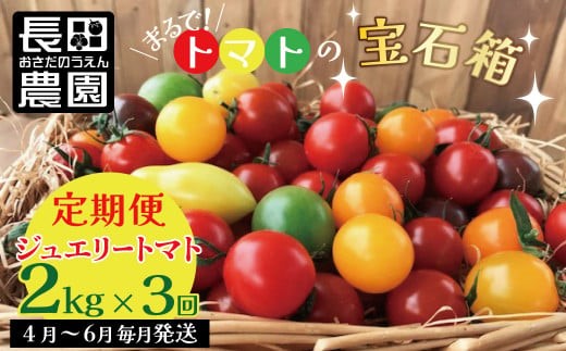 【4月～6月の定期便】たっぷり約2㎏×3回！　フルーツジュエリーミニトマトの定期便 長田農園 産地直送 カラフル トマト とまと 野菜 やさい フルーツ サラダ 濃厚 甘い ご褒美 プレゼント 美容 健康 リピート多数 人気 高評価 数量限定 碧南市 H004-132