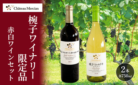ワイン 飲み比べセット 750ml 2本セット 赤 白 ワイン