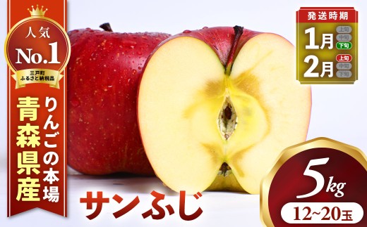 りんご【サンふじ】約5kg （12～20玉）【2026年産・先行予約】★2027年1月下旬〜2月頃発送予定★ 青森県三戸町産 りんご サンふじ 2026年産 サンふじりんご 旬 甘い 青森県三戸町 AK-25-063