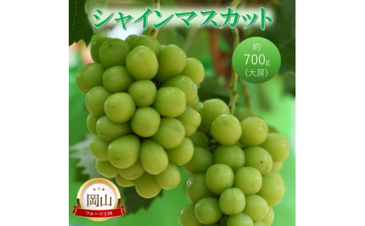 
            [№5615-0752]高梁市産 シャインマスカット 大房 (約700g) ぶどう ブドウ 葡萄 果物 フルーツ
          