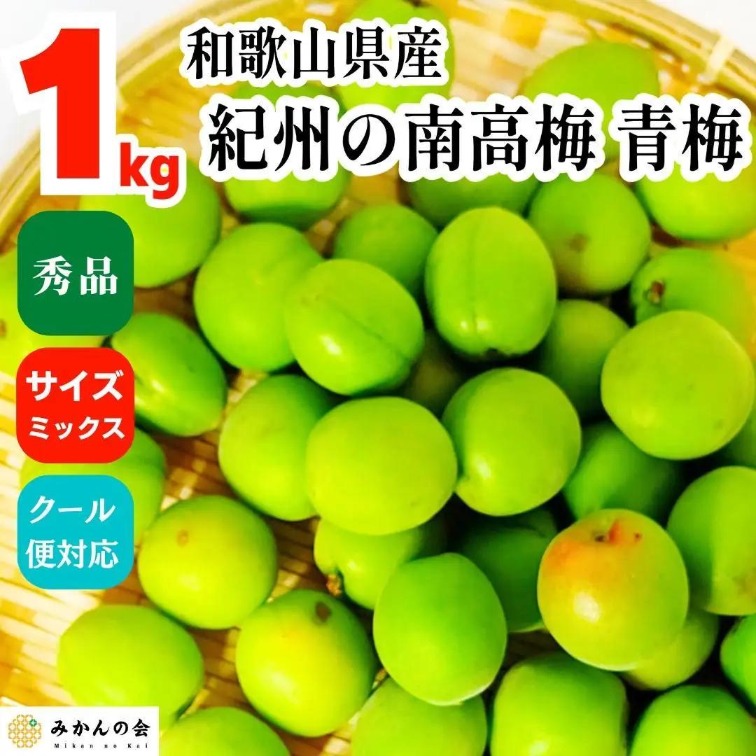 [2025年6月上旬出荷] 青梅 南高梅 約1kg 秀品 サイズミックス  和歌山県産 A品 梅酒作り用 梅ジュース作り用