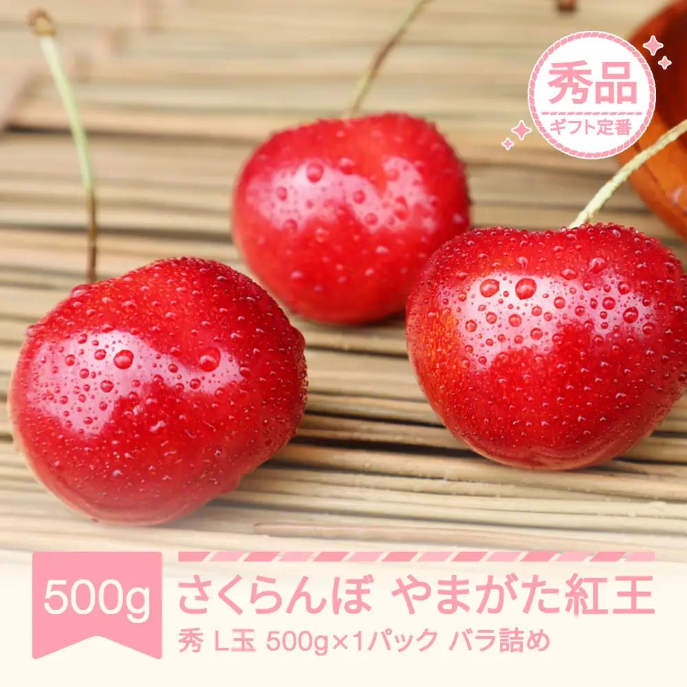 先行予約 さくらんぼ やまがた紅王 秀品 500g×1 令和9年産 mm-ybbax500