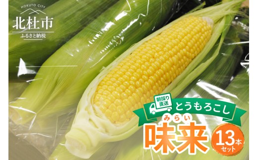 【2026年先行予約】北杜市産とうもろこし『味来（みらい）』朝採り直送13本セット   朝採り 直送 ミラクルスイート コーン 味来 13本 セット 冷蔵発送 期間限定 数量限定