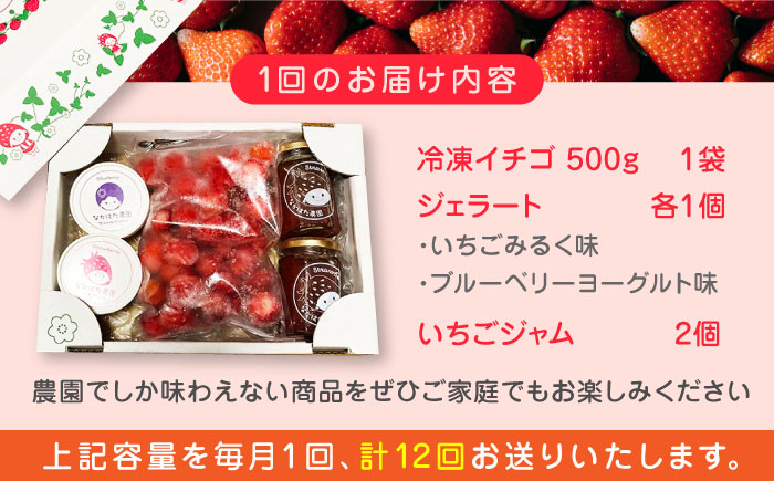 【限定数量】【全12回定期便】なかはた農園満喫セット ( 冷凍イチゴ 500g いちごジャム 1個 ジェラート 2種 × 各1個 ) アイス 熊本 農園直送 産地直送【なかはた農園】[YBI040]