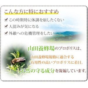 プロポリス粒 (486)【1111703】