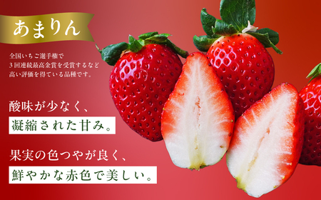 いちご あまりん べにたま 食べ比べ 250g×4 いちご 埼玉県 久喜市