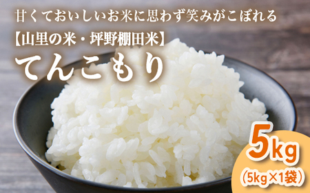 山の湧き水 寒暖差 山里 山里の米･坪野棚田米 R7年産 てんこもり5kg ※北海道・沖縄・離島への配送不可　※2025年10月中旬～2026年9月中旬頃に順次発送予定