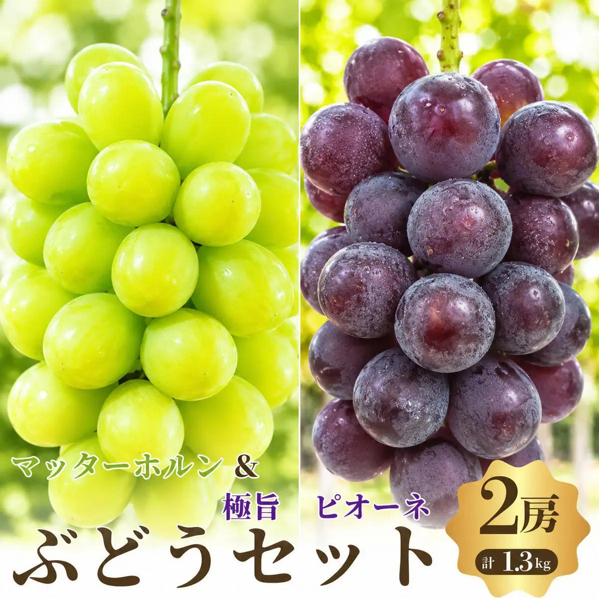ぶどうセット マッターホルン雄宝ピオーネ希少2品種 ぶどうセット【2房約1.3kg】【先行予約】