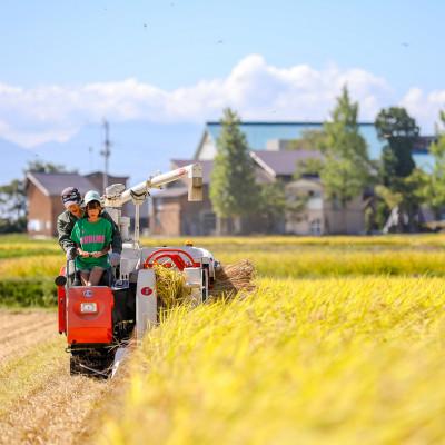 ふるさと納税 十日町市 生産農家直送!生産地・生産者限定魚沼産コシヒカリ「イネノハ」精米(10kg×1袋) |  | 02